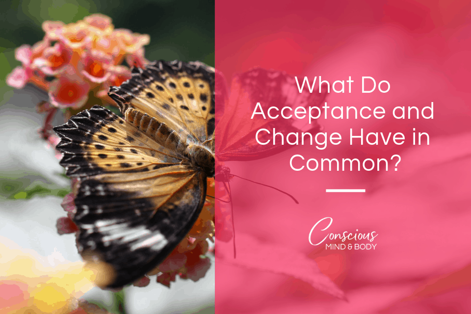 how-acceptance-leads-you-to-conscious-eating